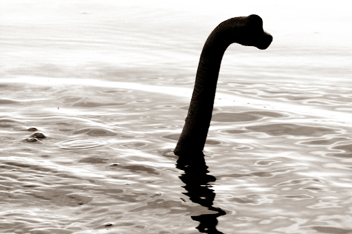 Monstro do lago Ness