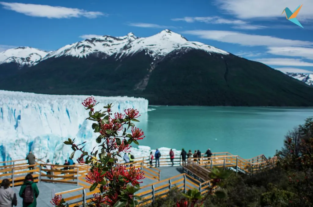 el calafate